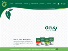 Tablet Screenshot of oasy.com